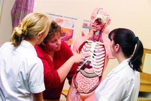 nursing students